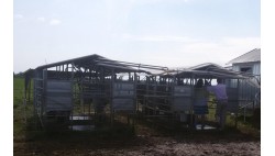 Salle de traite mobile pour 100-200 vaches